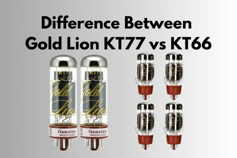 Gold Lion KT77 vs KT66: Exploring Their Performance